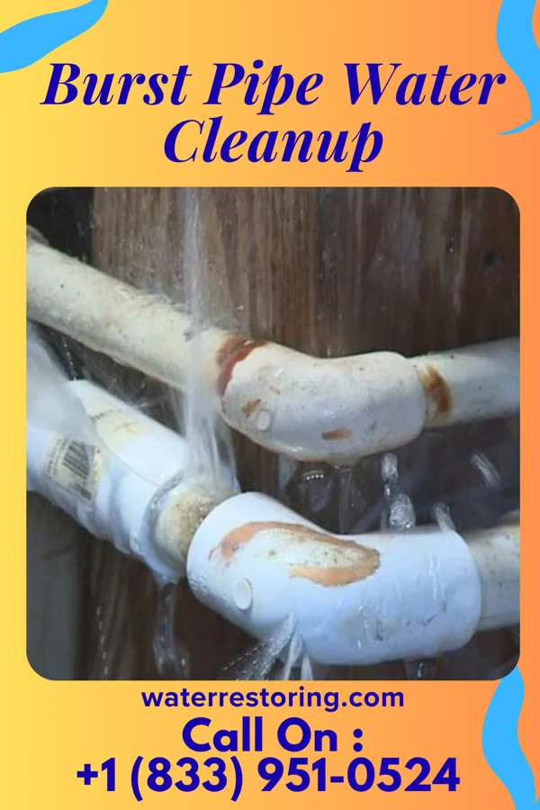 Burst Pipe Water Cleanup in Dayton, PA
