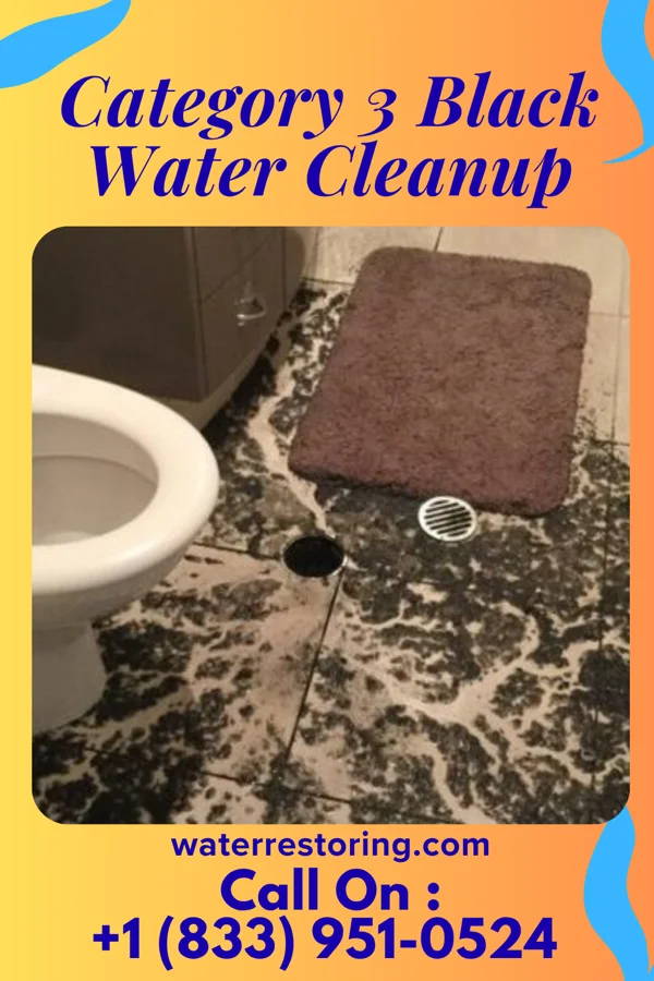 Category 3 Black Water Cleanup in Dayton, PA