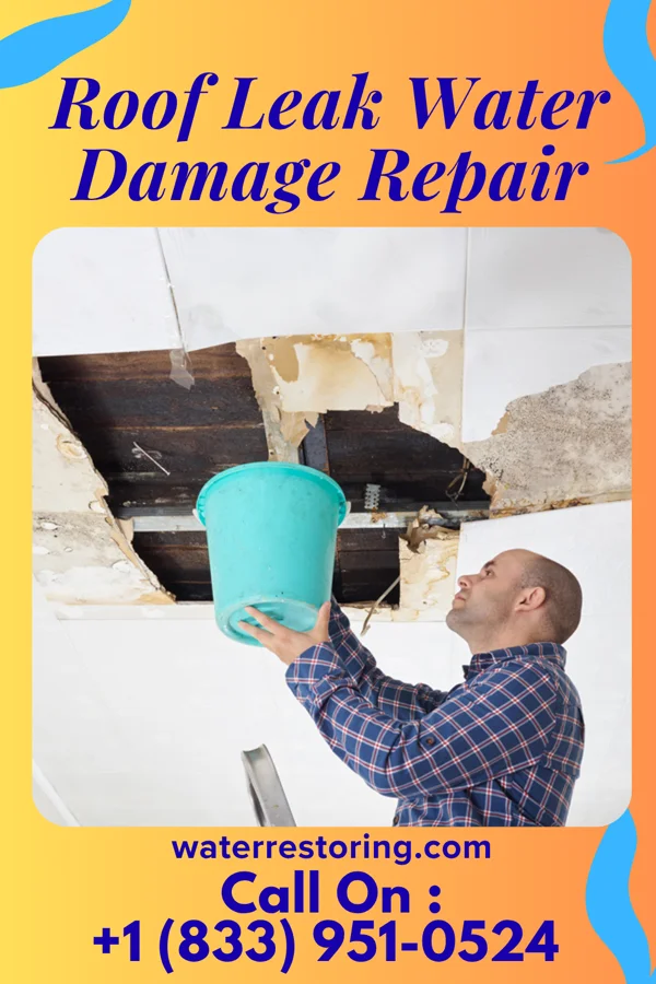 Roof Leak Water Damage Repair in Dayton, PA