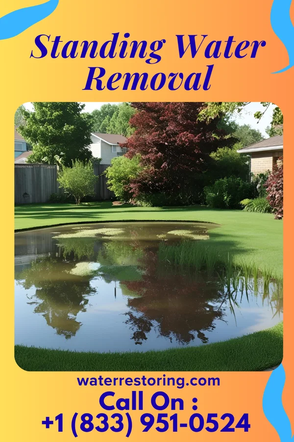 Standing Water Removal in Dayton, PA